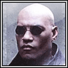 Bumsbuff